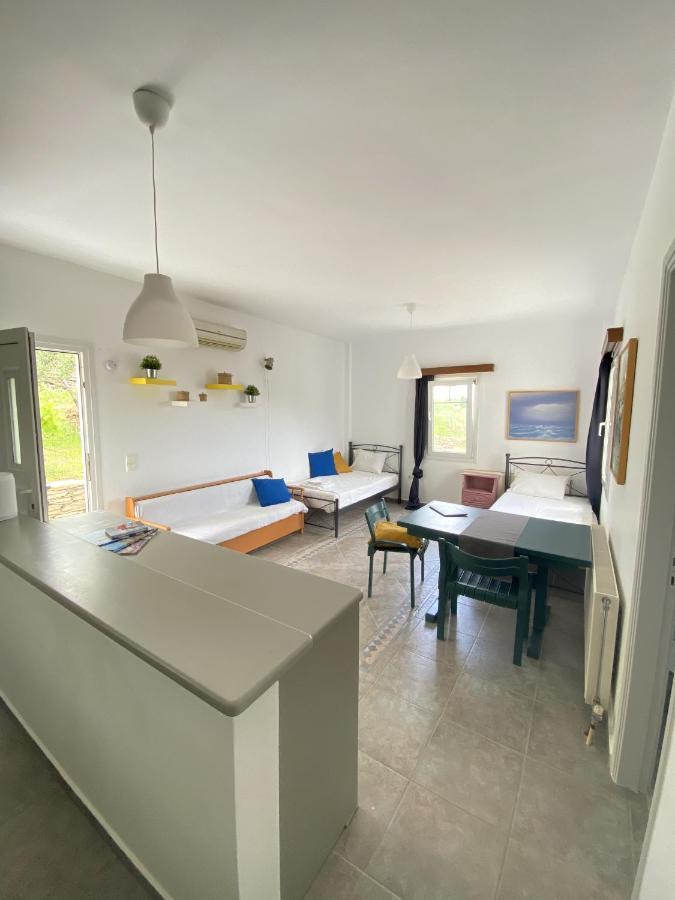 SinetiAndros Vineyard House With Sea View公寓 外观 照片