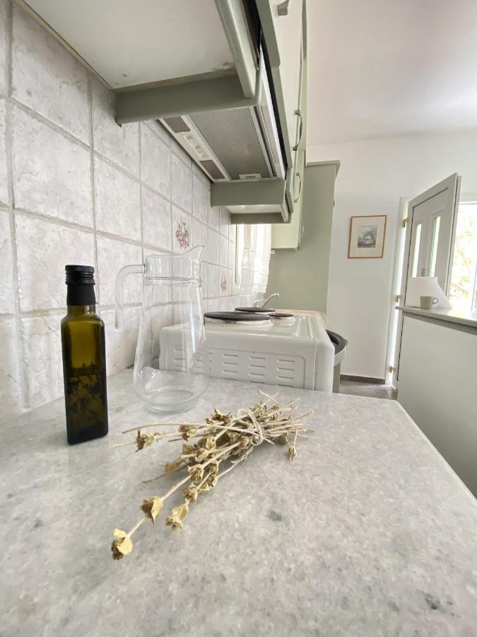 SinetiAndros Vineyard House With Sea View公寓 外观 照片