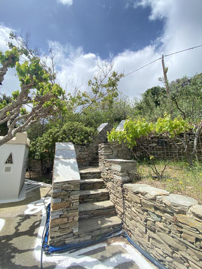 SinetiAndros Vineyard House With Sea View公寓 外观 照片