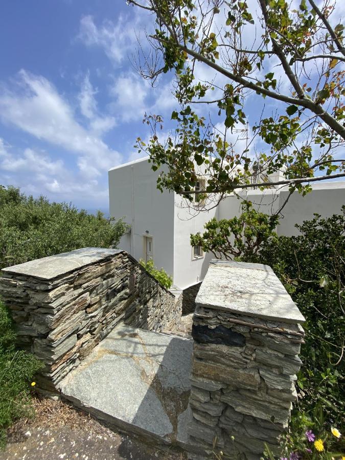 SinetiAndros Vineyard House With Sea View公寓 外观 照片