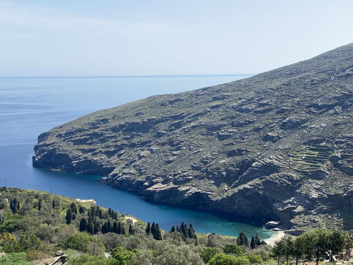 SinetiAndros Vineyard House With Sea View公寓 外观 照片