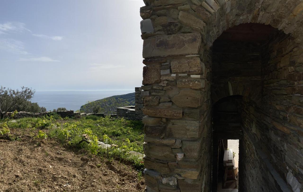 SinetiAndros Vineyard House With Sea View公寓 外观 照片