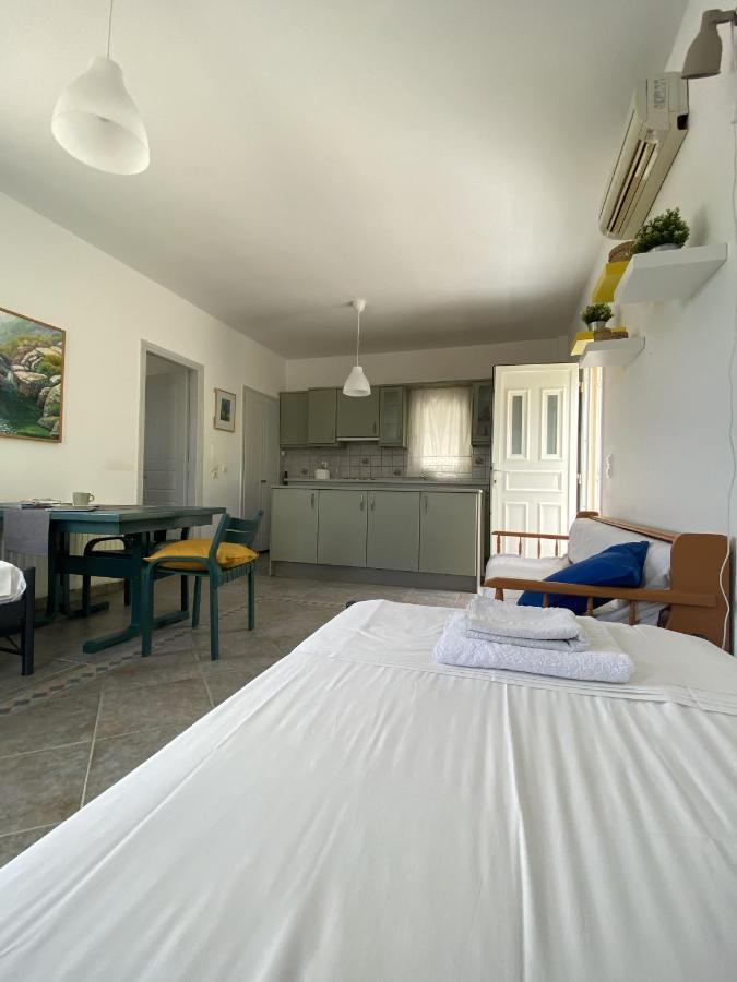 SinetiAndros Vineyard House With Sea View公寓 外观 照片