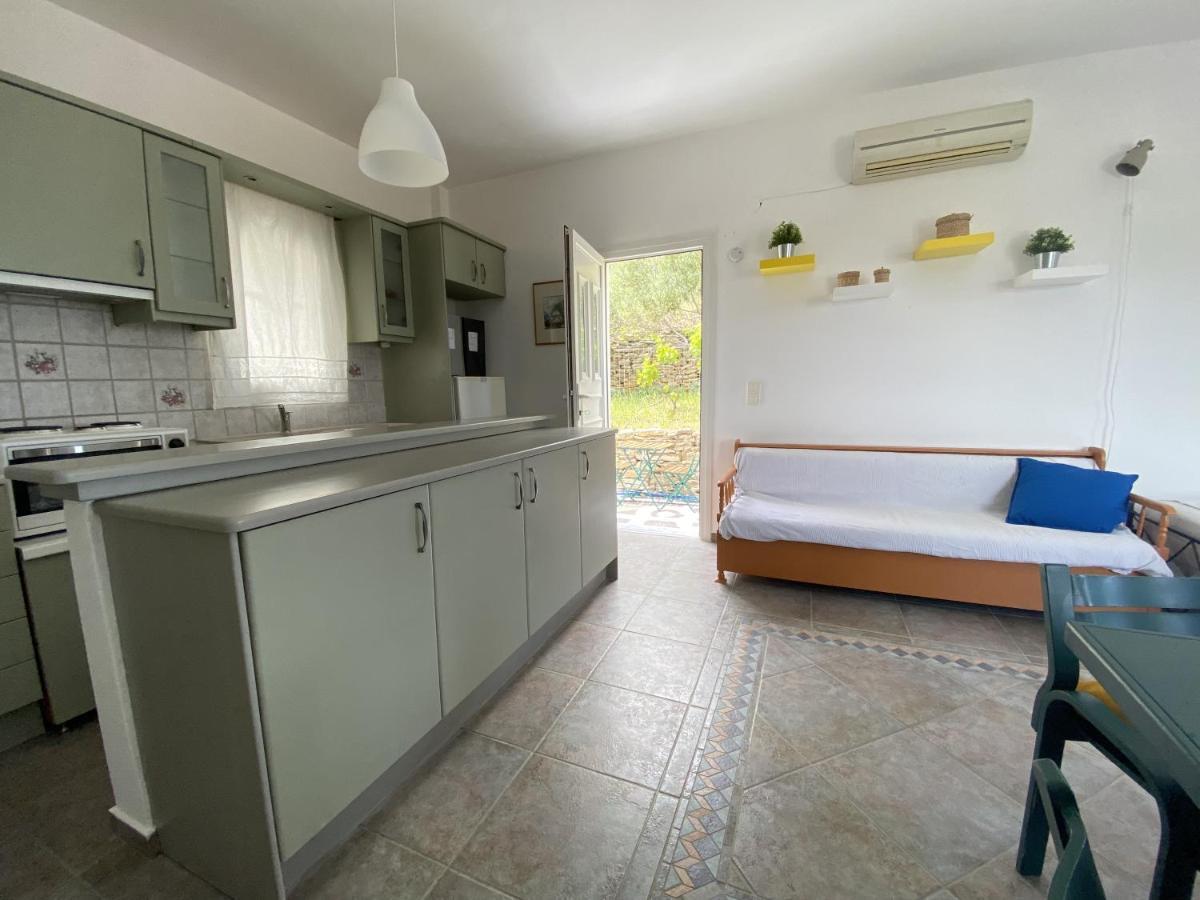 SinetiAndros Vineyard House With Sea View公寓 外观 照片